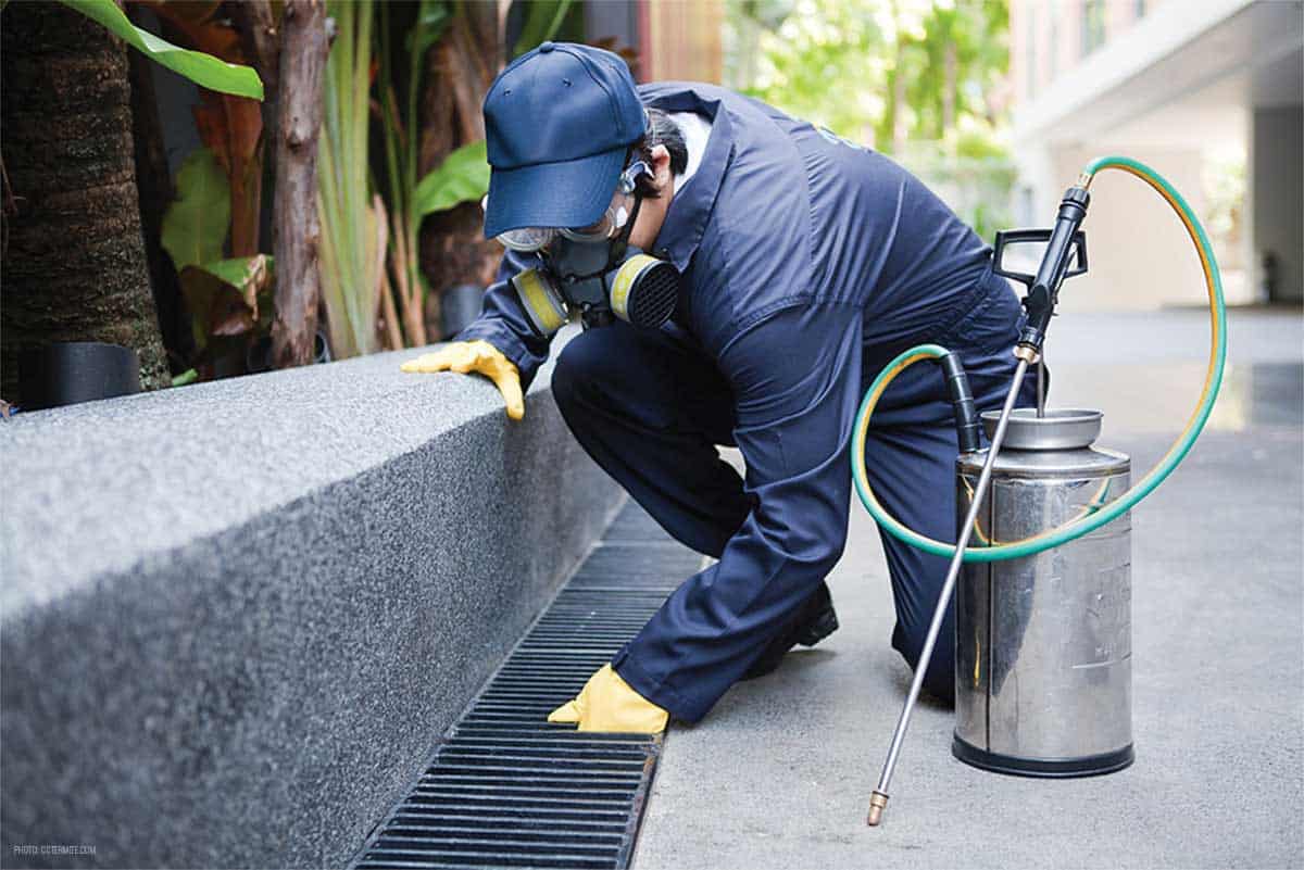 Pest Control Modesto CA 24 Hour Commercial & Residential Exterminators