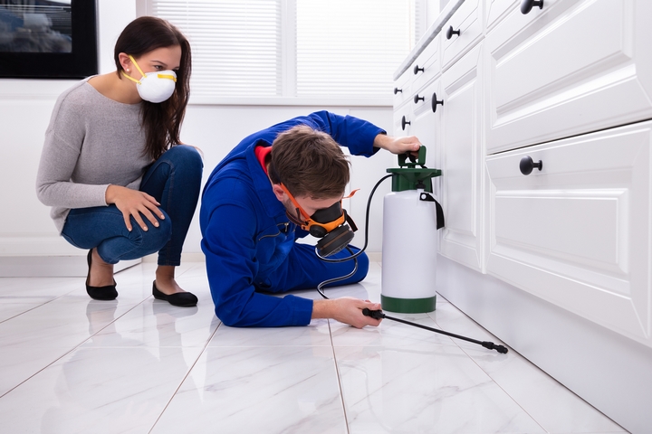 pest control companies in modesto ca 46-2-1